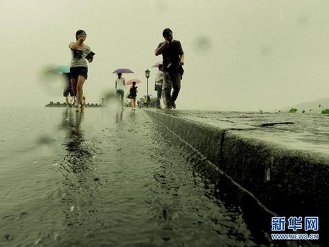 晨见“梅花”愁 风雨任疯狂 一览众生相