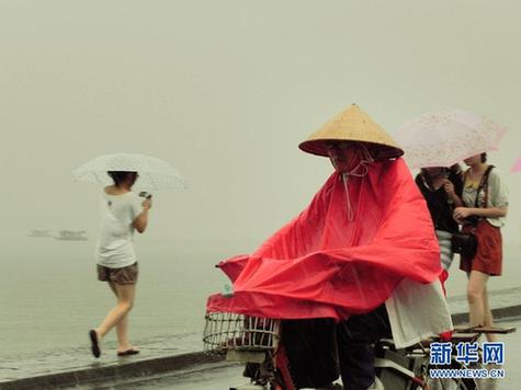 晨见“梅花”愁 风雨任疯狂 一览众生相