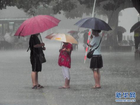 晨见“梅花”愁 风雨任疯狂 一览众生相