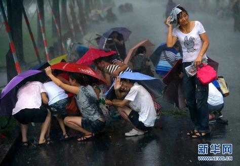 晨见“梅花”愁 风雨任疯狂 一览众生相