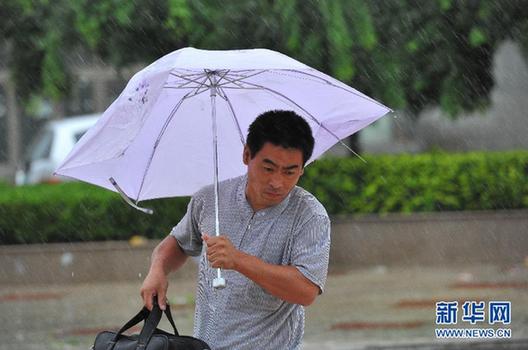 晨见“梅花”愁 风雨任疯狂 一览众生相