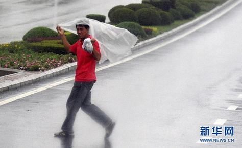 晨见“梅花”愁 风雨任疯狂 一览众生相
