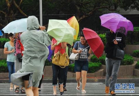 晨见“梅花”愁 风雨任疯狂 一览众生相