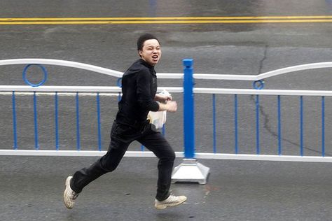 晨见“梅花”愁 风雨任疯狂 一览众生相