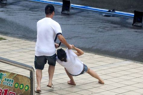 晨见“梅花”愁 风雨任疯狂 一览众生相