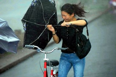 晨见“梅花”愁 风雨任疯狂 一览众生相