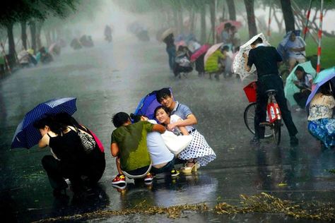 晨见“梅花”愁 风雨任疯狂 一览众生相