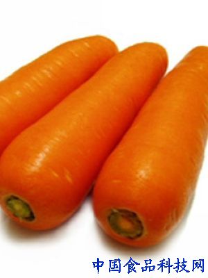 上班族养生：OL办公室必备十样健康食物