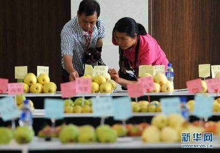 全国“梨王”擂台赛在京举行
