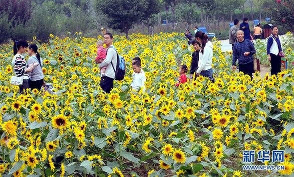 旅游、吟诗、相亲——中国各地喜迎中秋节