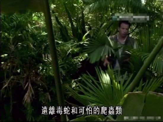 荒野求生绝非儿戏 主持人自拍惨死澳洲实录