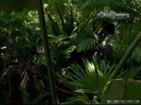 荒野求生绝非儿戏 主持人自拍惨死澳洲实录