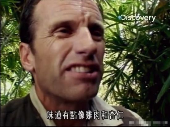 荒野求生绝非儿戏 主持人自拍惨死澳洲实录