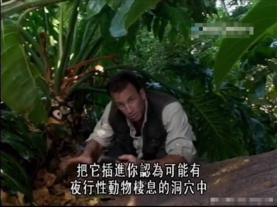 荒野求生绝非儿戏 主持人自拍惨死澳洲实录