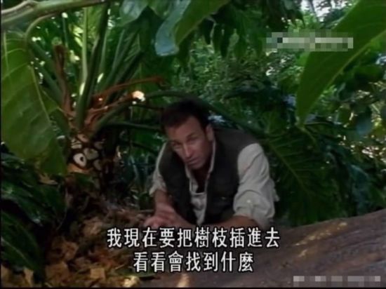 荒野求生绝非儿戏 主持人自拍惨死澳洲实录