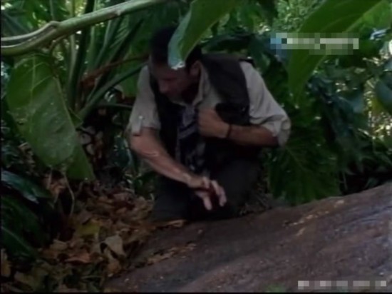 荒野求生绝非儿戏 主持人自拍惨死澳洲实录