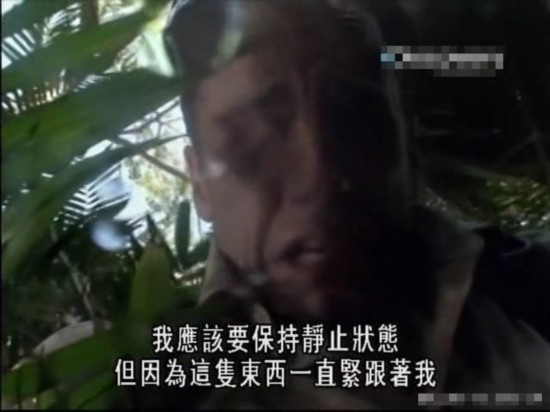 荒野求生绝非儿戏 主持人自拍惨死澳洲实录