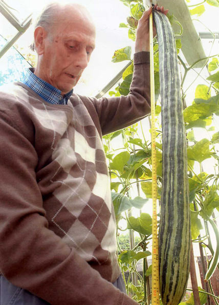 2012版吉尼斯世界纪录出炉