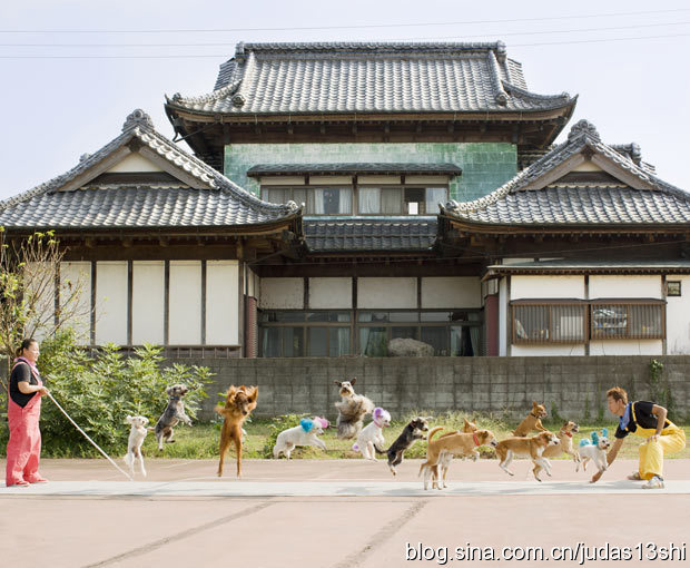 2012版吉尼斯世界纪录出炉