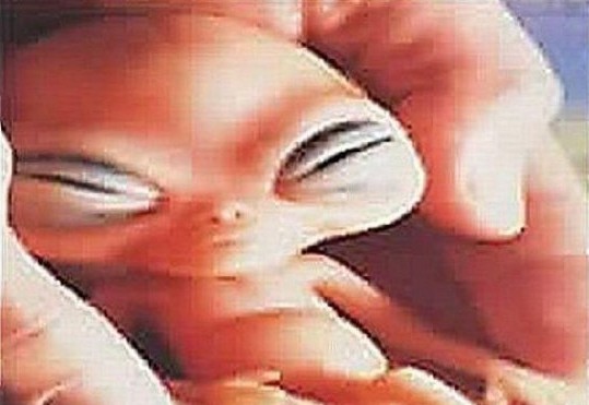 谜！百慕大海底外星人