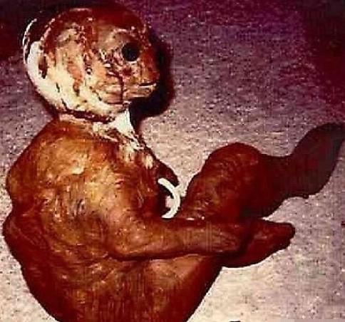 谜!百慕大海底外星人