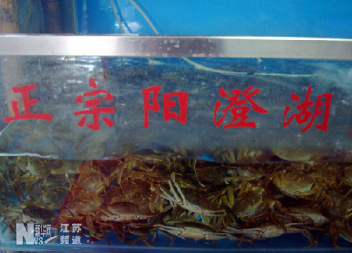 江苏惊现“套牌”阳澄湖大闸蟹
