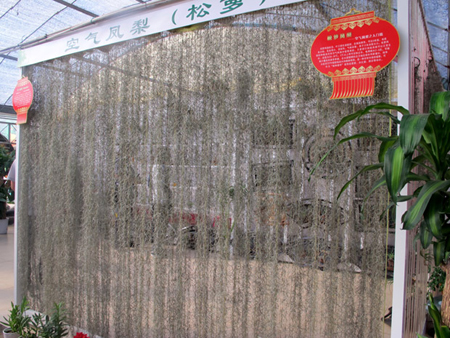 烟台农博园 特色农业科技之旅妙趣横生