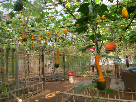 烟台农博园 特色农业科技之旅妙趣横生