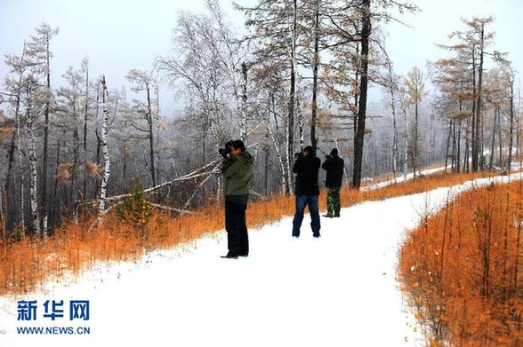 较强冷空气影响北方 局地降雪降温