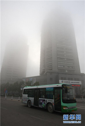 秋雾普降 教你安度大雾天(图)