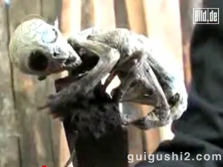 女子产下“外星人”震惊欧洲