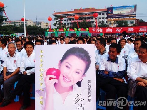 陕西贫困县明星代言苹果续:许晴象征性收费