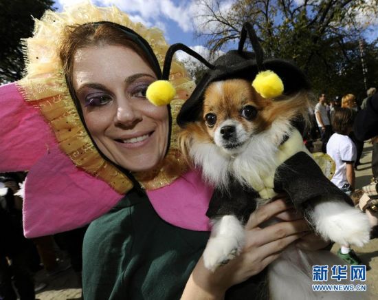 万圣节狗狗大游行（组图）