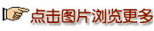 盘点动物界的神奇“建筑师”