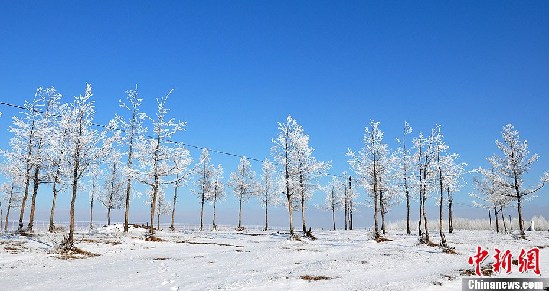 内蒙古牙克石市提前迎来雾凇美景