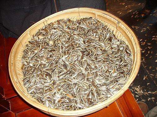 警惕：常吃这12种食物会降低智商