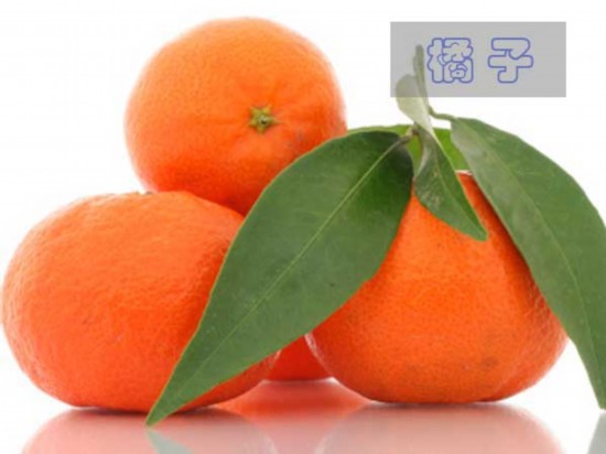 饮食养生：吃出好记忆12种最佳健脑食物(组图)