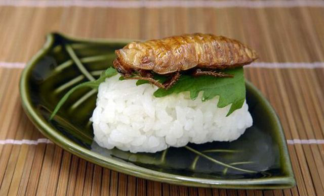 重口味:昆虫寿司你敢吃吗?