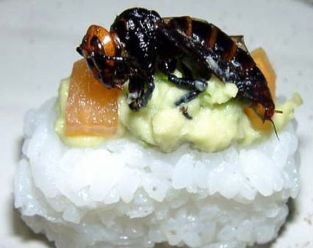 重口味:昆虫寿司你敢吃吗?