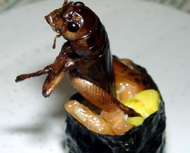 重口味:昆虫寿司你敢吃吗?