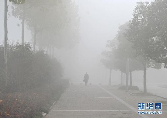 大雾笼罩东部地区 能见度仅10米