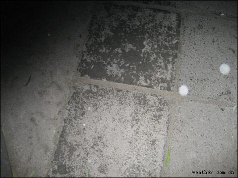 北京今晨出现今冬第一场雪 雪量不大(组图)