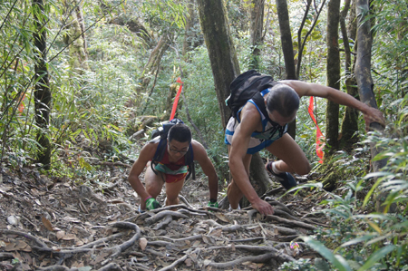 首届五指山热带雨林登山赛昨晚闭幕
