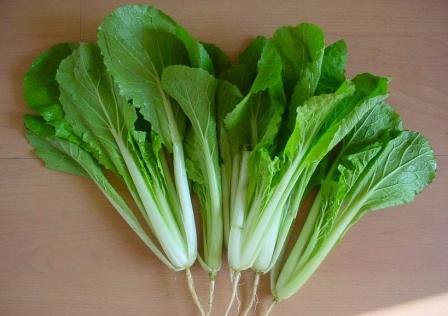 豆芽等十种蔬菜最适合冬天吃