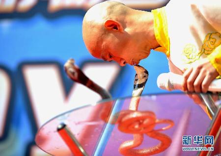 “亚洲蛇王”与蛇共舞
