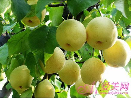 冬季上火有虚实之分 对症食疗才管用