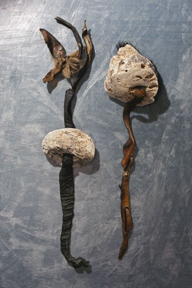 冰封5300年的神秘冰人木乃伊什么样？(组图)