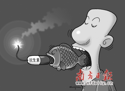 鸡猪鱼嗑药 百姓吃素：养殖业滥用抗生素揭秘