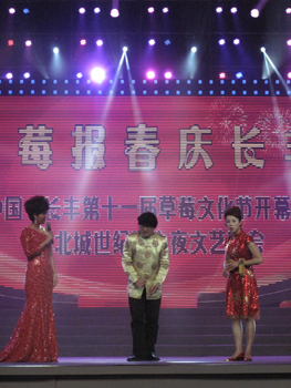 红莓报春庆长丰 天南地北赞草莓