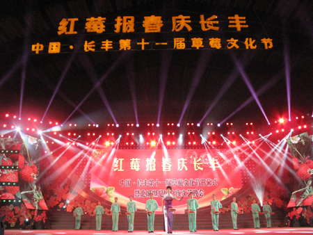 红莓报春庆长丰 天南地北赞草莓